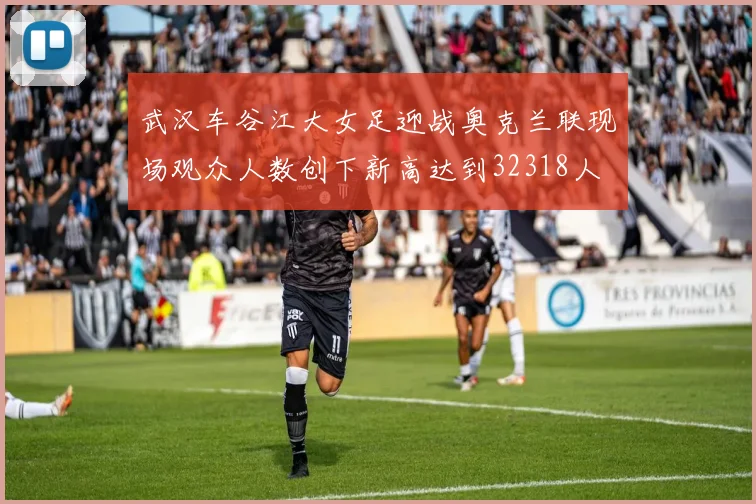 武汉车谷江大女足迎战奥克兰联现场观众人数创下新高达到32318人